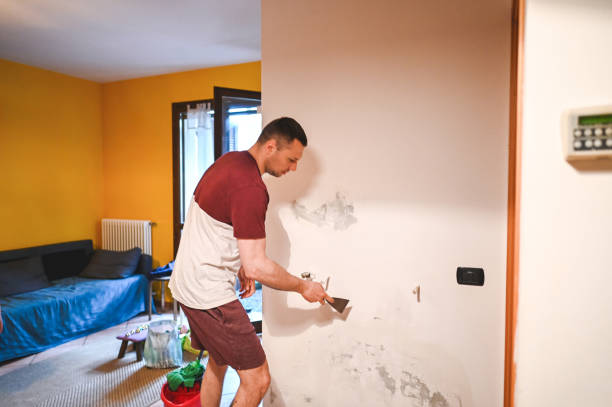 Best Basement Mold Remediation in Oolitic, IN